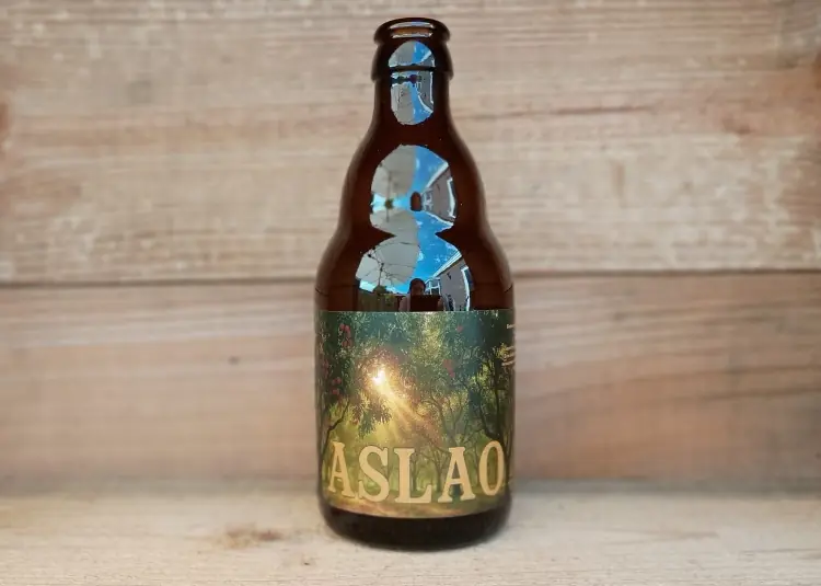 portfolio-aslao